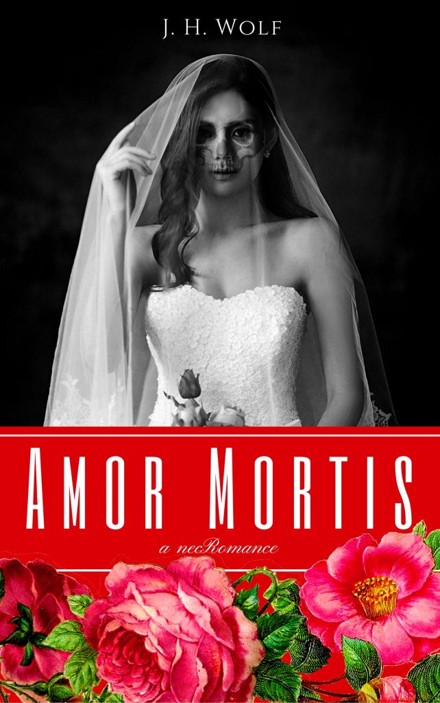 nanowrimo novel amor mortis