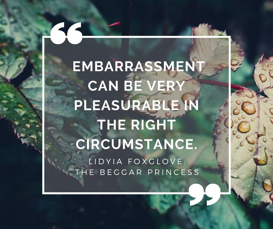 Quote: Embarrassment can be very pleasureable in the right circumstance." The Beggar Princess by Lidyia Foxglove
